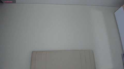 sweety_vikky @ chaturbate on 20251127