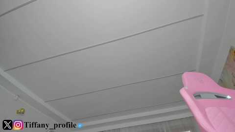 tiffanyhouston_ @ chaturbate on 20251127