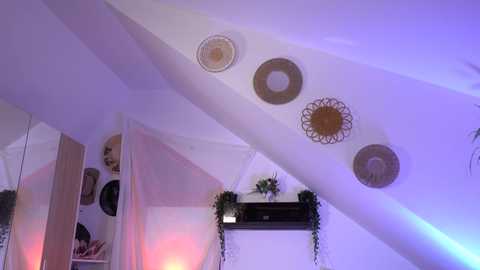 artofboobs @ chaturbate on 20251128