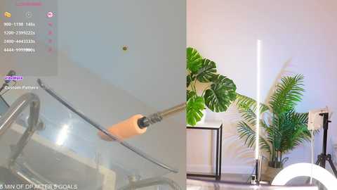 lovebabyblush @ chaturbate on 20251128