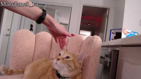 maryjane3_14 @ chaturbate on 20251128