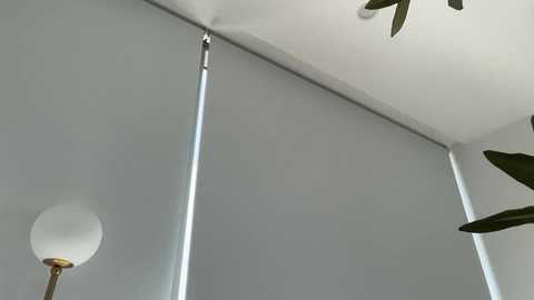 oliviabrookess @ chaturbate on 20251128