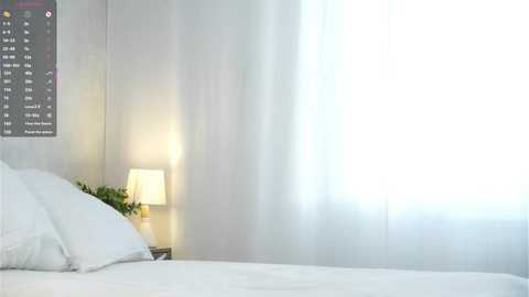 sheenadu @ chaturbate on 20251128