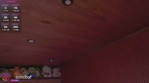 soficb @ chaturbate on 20251128