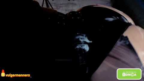 vulgarmanners_ @ chaturbate on 20251128