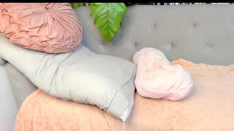 goofyshygirl1 @ chaturbate on 20251129