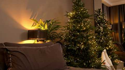 _keti_ @ chaturbate on 20251130