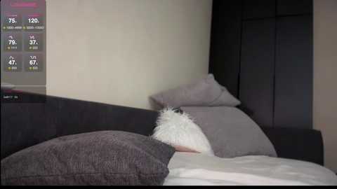 girl_next_door19 @ chaturbate on 20251130