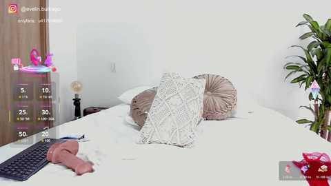 massivecockfuckbunny