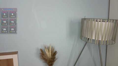 traciblow @ chaturbate on 20251130