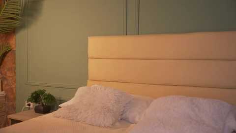 ashley_jones9 @ chaturbate on 20251201