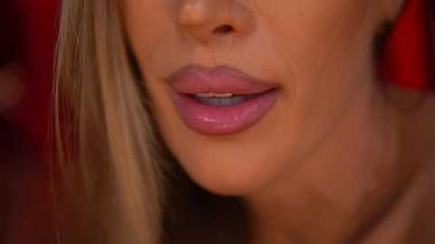 evelyn_evyy @ chaturbate on 20251201