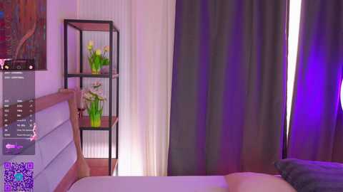 islandladies @ chaturbate on 20251201