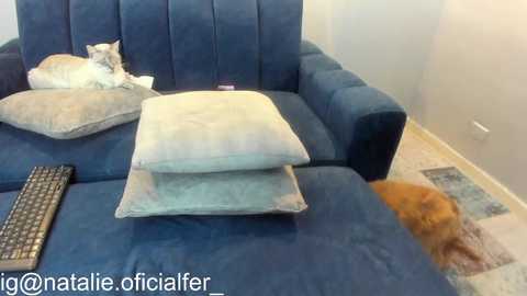 natalieferrer_ @ chaturbate on 20251201