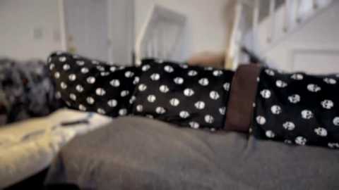 sosabless @ chaturbate on 20251201