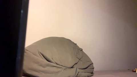 vincentprice69 @ chaturbate on 20251201