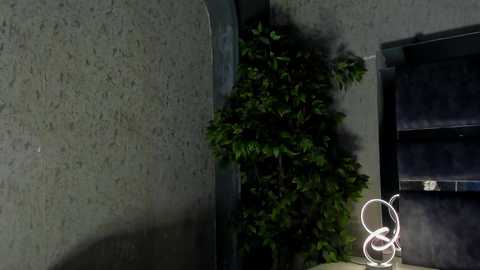 louis_connor @ chaturbate on 20251202