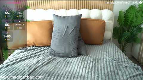 madmaxbad @ chaturbate on 20251202