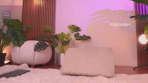 nicdani_1 @ chaturbate on 20251202