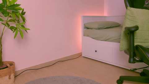 shywetnameless @ chaturbate on 20251202