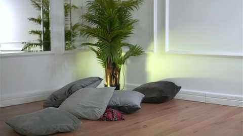 alexxiskye @ chaturbate on 20251203