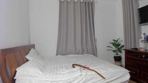 amy_alle @ chaturbate on 20251203