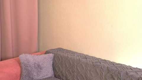 ceceliapidcock @ chaturbate on 20251203