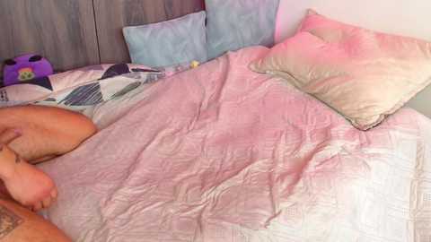 dreeamteaam @ chaturbate on 20251203