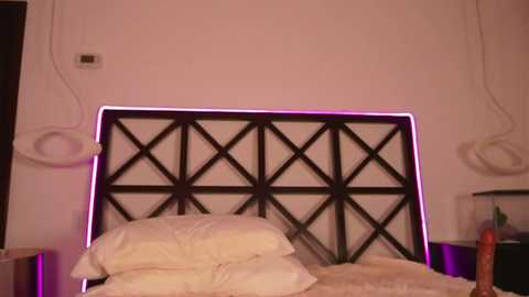 erikabee @ chaturbate on 20251203