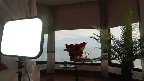 katyerave @ chaturbate on 20251203