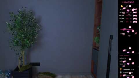 queen_kitty1818 @ chaturbate on 20251203