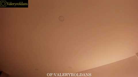 roldansvalery @ chaturbate on 20251203