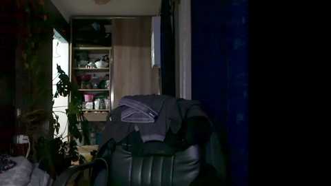 t_huracane @ chaturbate on 20251203