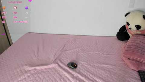 abigail_w @ chaturbate on 20251204