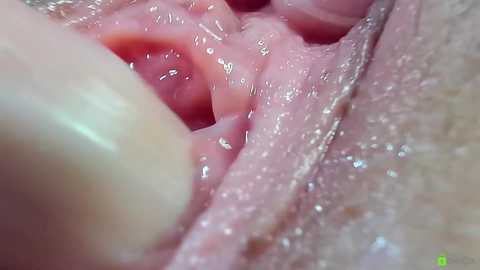 courtney_luv @ chaturbate on 20251204