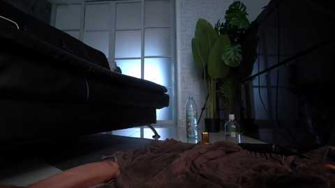 heylixie_ @ chaturbate on 20251204