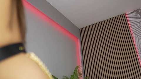 luna__dior @ chaturbate on 20251204