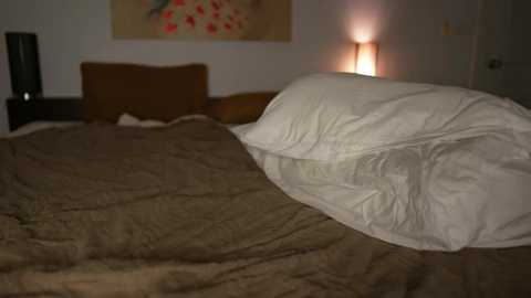 valerieh @ chaturbate on 20251204