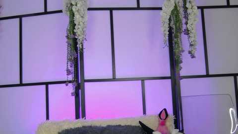 xenomy @ chaturbate on 20251204