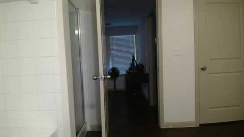 bigdicktrannynicole @ chaturbate on 20251205