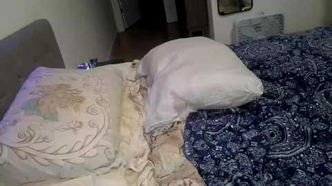 cayla_ @ chaturbate on 20251205