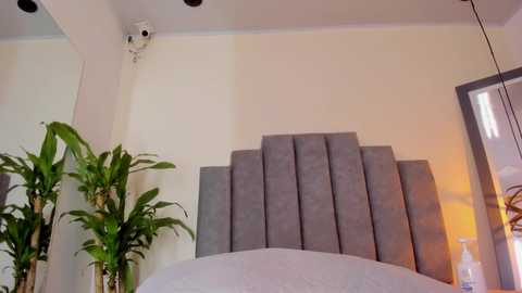 gabriela__gomez @ chaturbate on 20251206