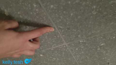 kellytesh @ chaturbate on 20251206