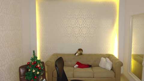 maxkaiden @ chaturbate on 20251206