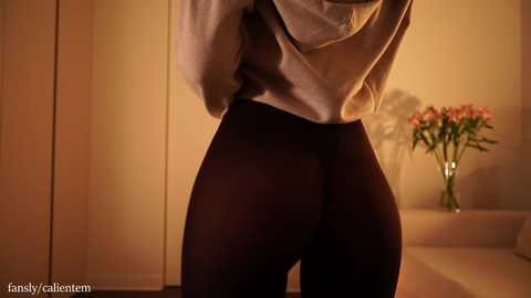 ms_seductive @ chaturbate on 20251206