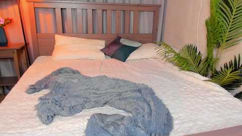 sindycavers @ chaturbate on 20251206