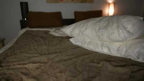 valerieh @ chaturbate on 20251206