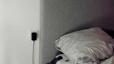 rachel_rey @ chaturbate on 20251207