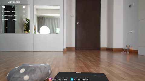 sigmasian @ chaturbate on 20251207