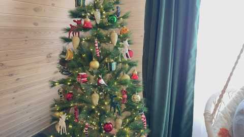 twixsex @ chaturbate on 20251207